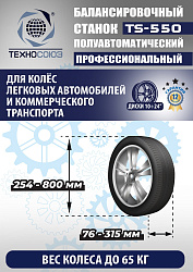 TS-550 Балансировочный стенд для легковых авто 5015, 220V